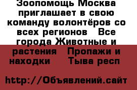 Зоопомощь.Москва приглашает в свою команду волонтёров со всех регионов - Все города Животные и растения » Пропажи и находки   . Тыва респ.